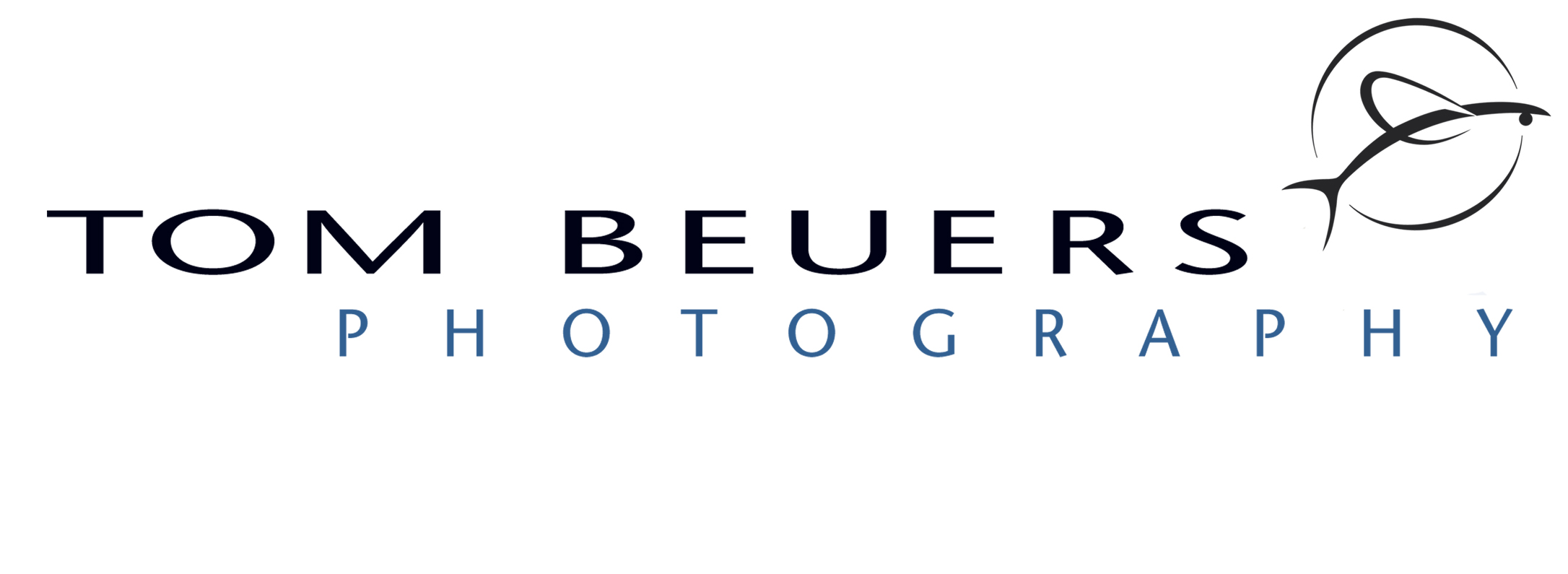 Website logo