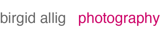 Website logo