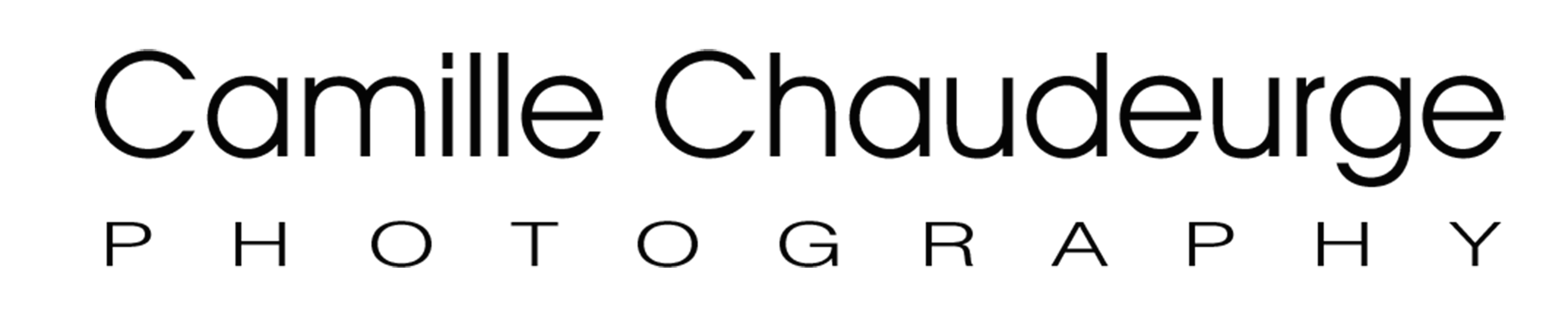 Website logo