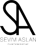 Website logo