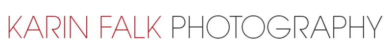 Website logo