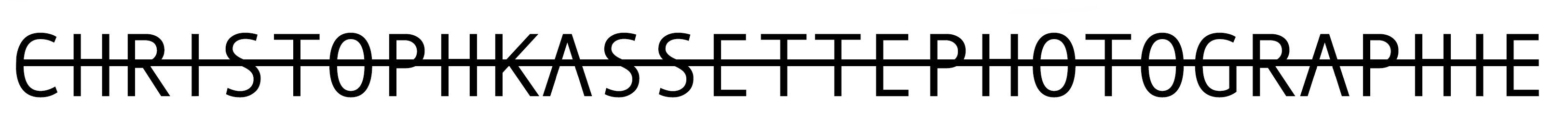 Website logo