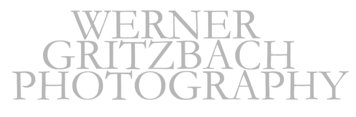 Website logo