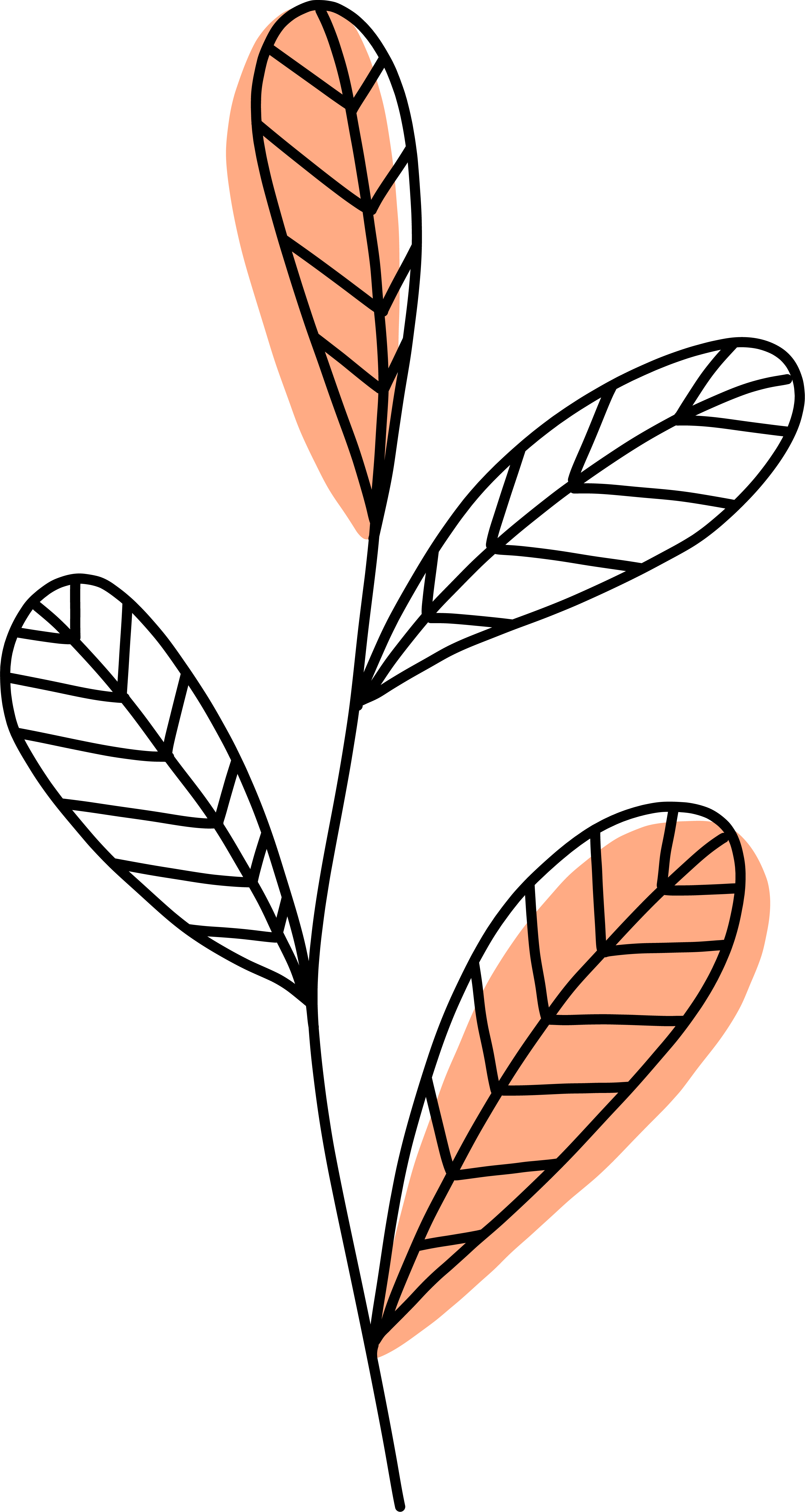 Website logo
