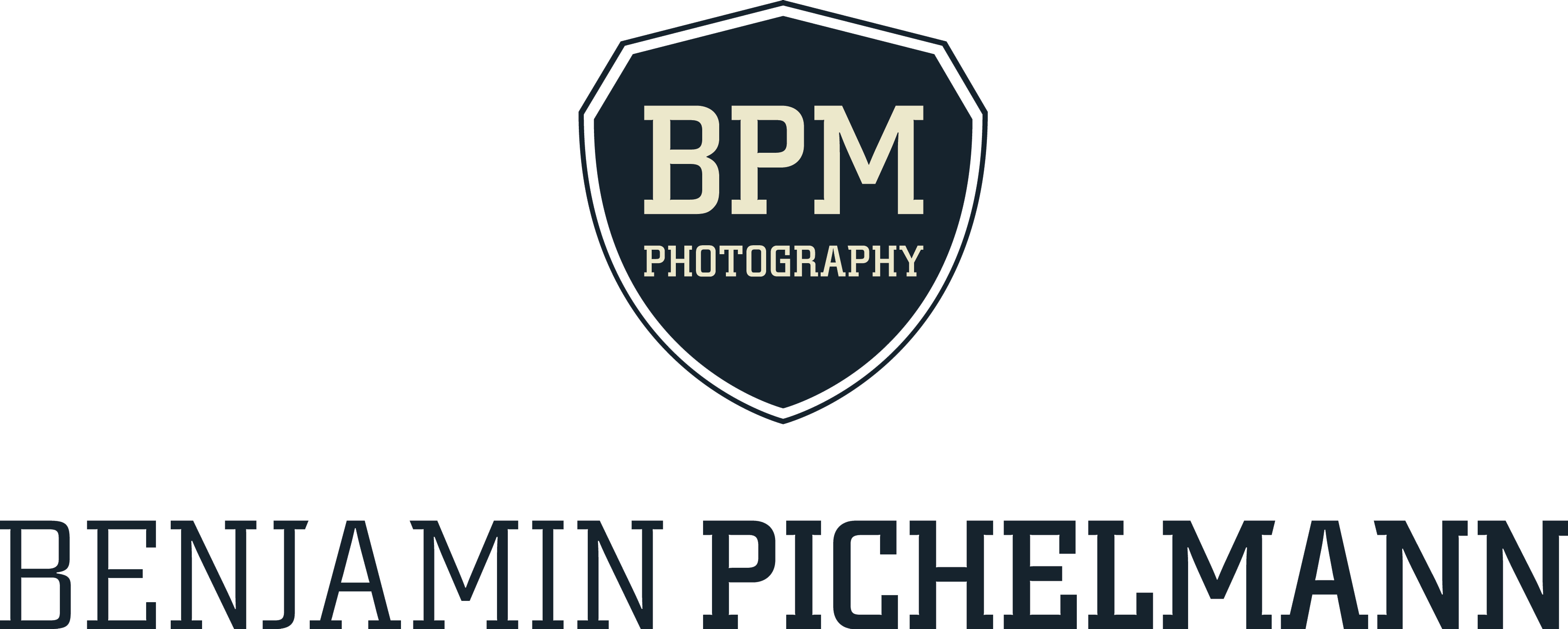 Website logo