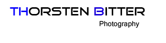 Website logo