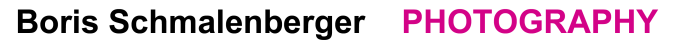 Website logo