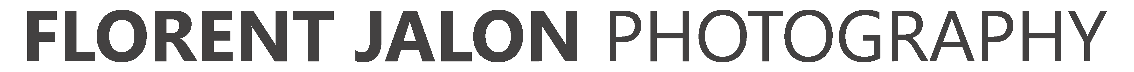 Website logo