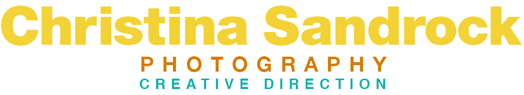 Website logo