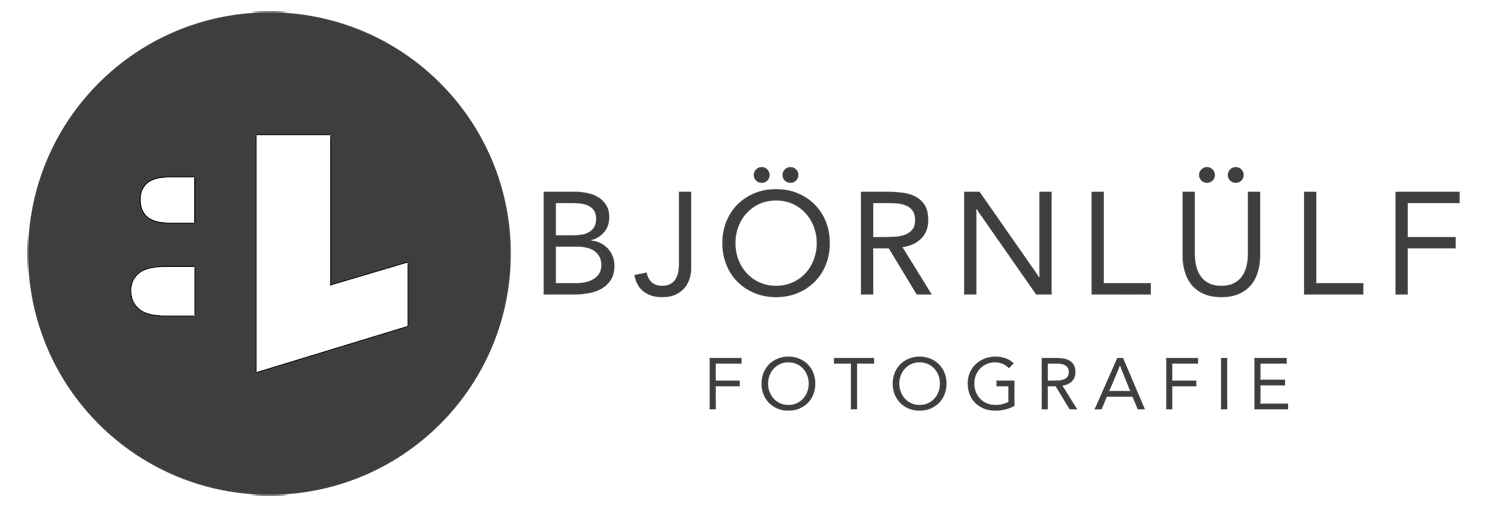 Website logo
