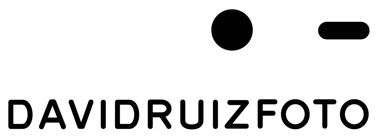 Website logo