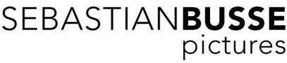 Website logo