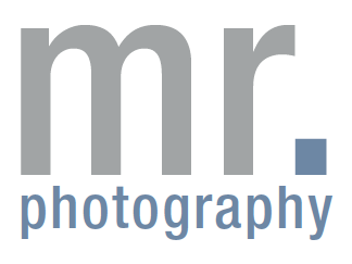 Website logo
