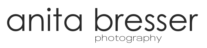 Website logo