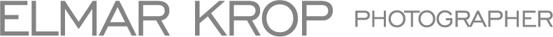 Website logo